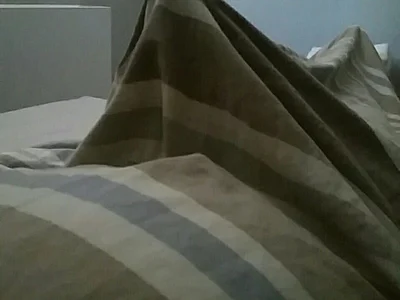 elgigologigante profile