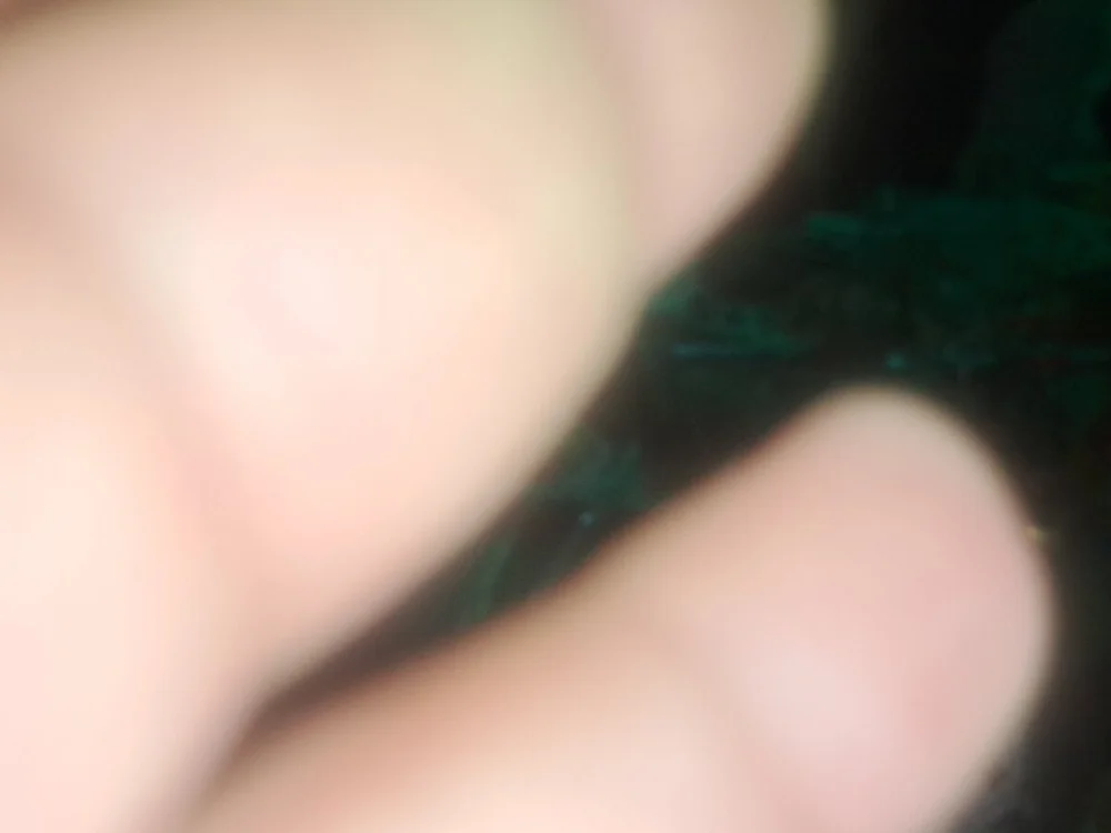 Gandron offline XXX-chatje