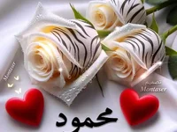 Mahmuodsabry22's webcam live show