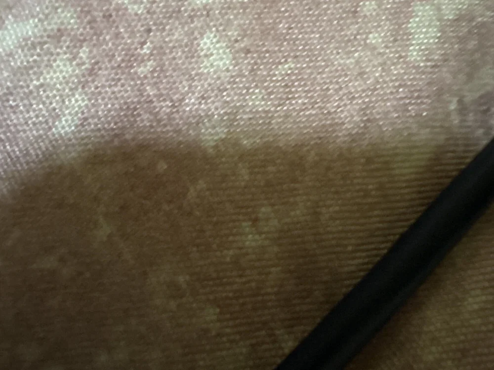 UrielPortes5327's most recent online preview