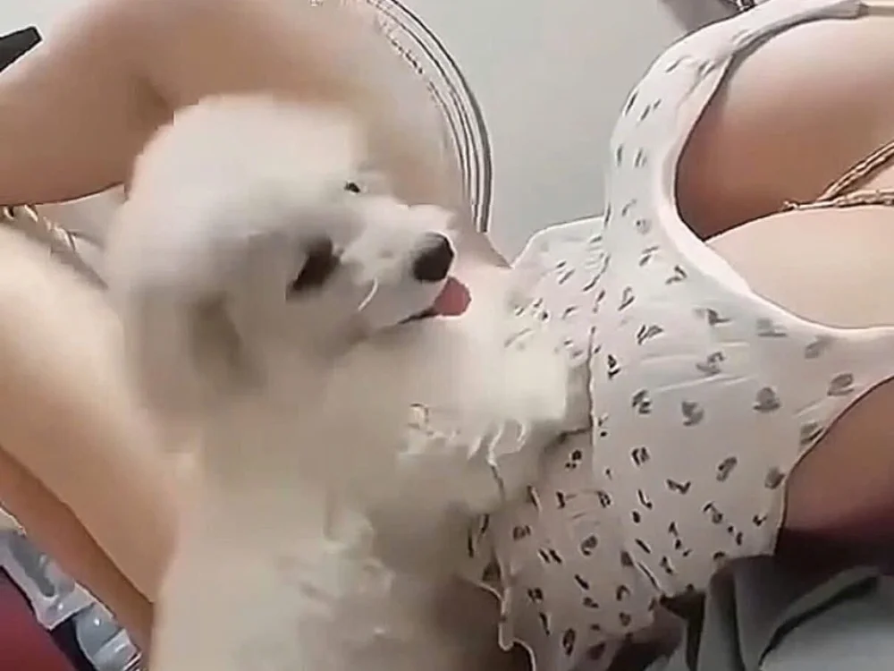 Suzanal 离线XXX聊天