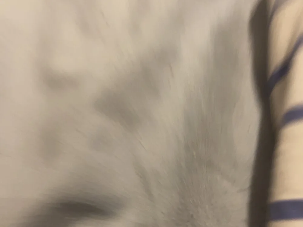 wpf13 Offline XXX Chat