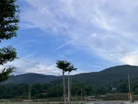 nguoidoi173 webcam