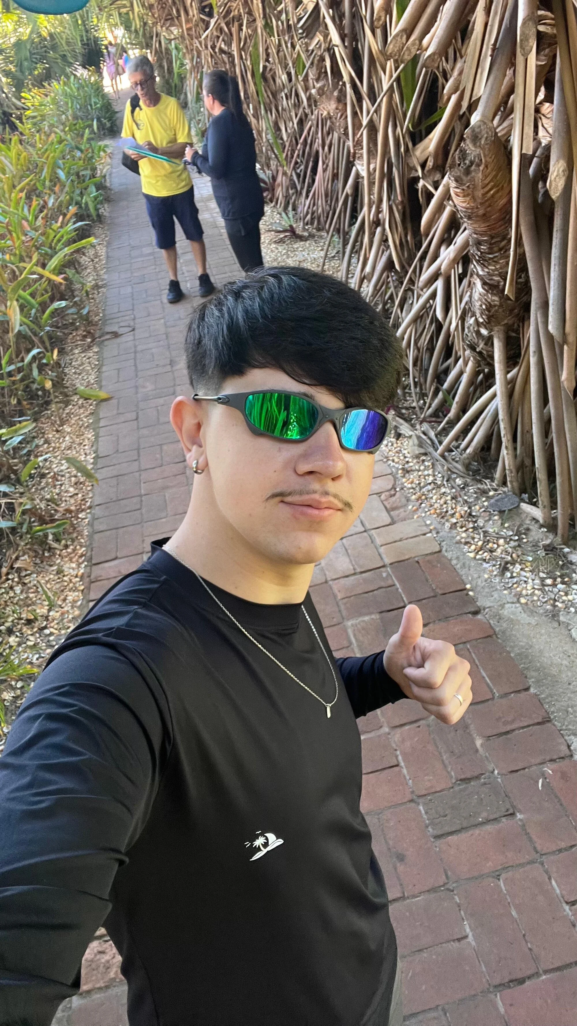 lucasd15