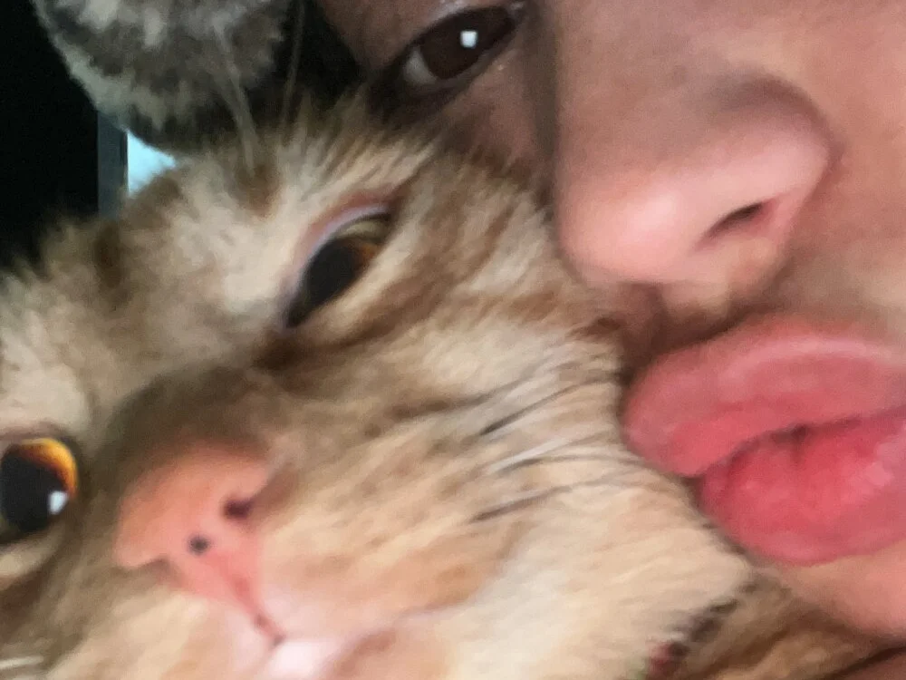 SofiaBermudez 离线XXX聊天