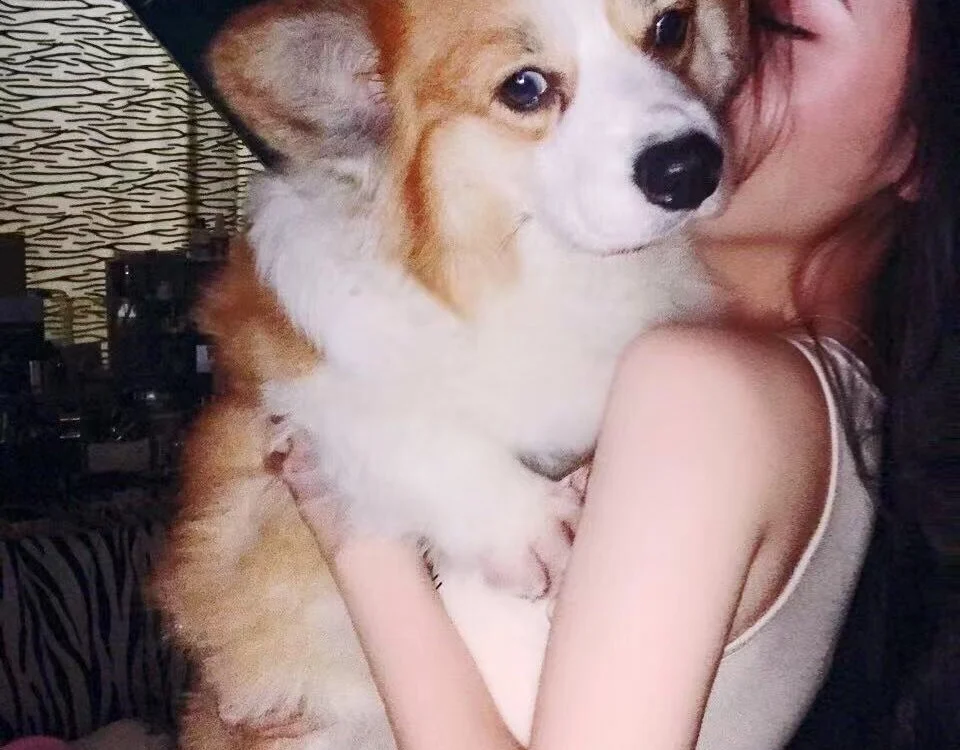 vyizh- Chat XXX offline