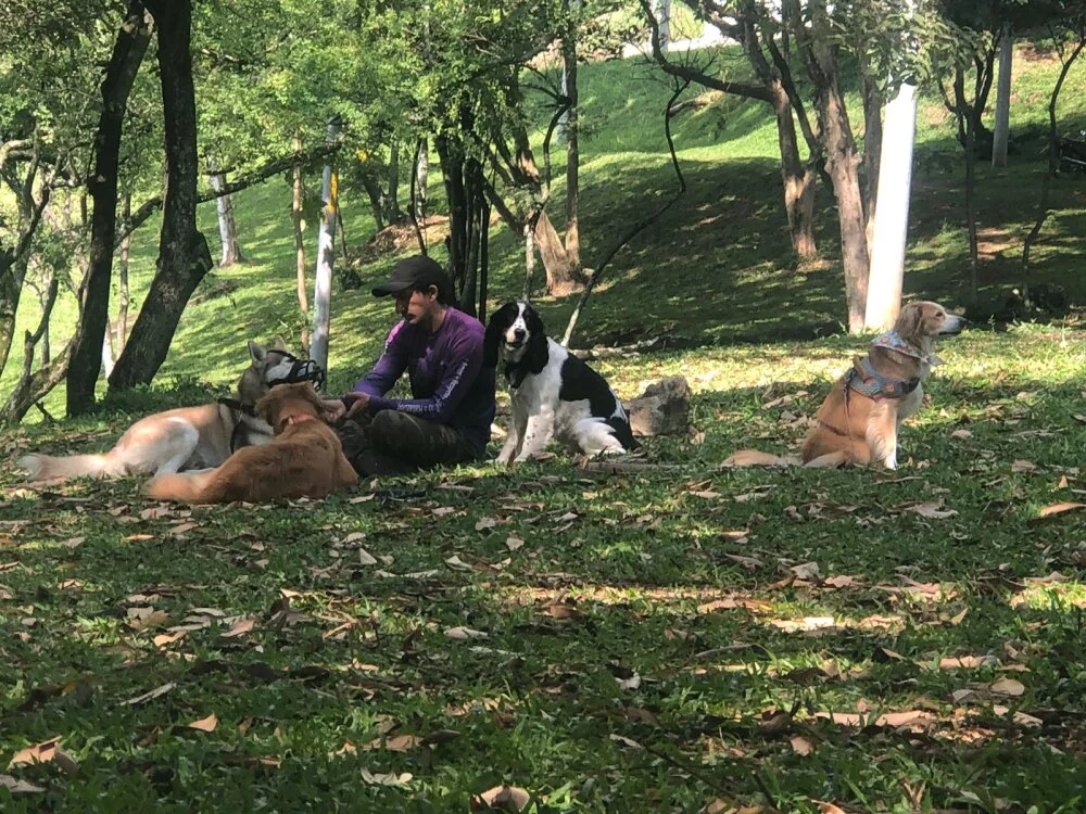 Offline XXX chat NiLo_sexy