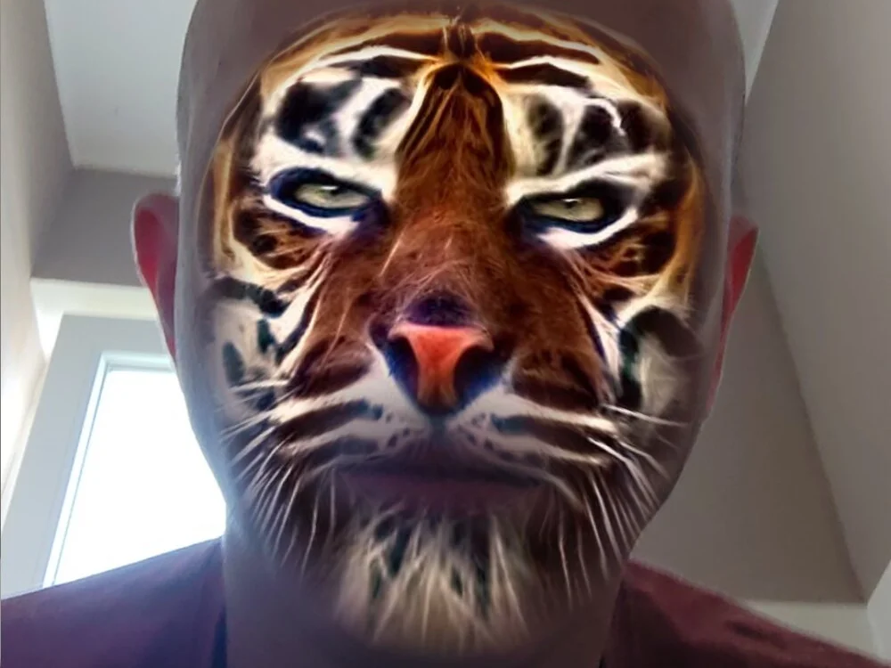 Singlepennis offline XXX-chat