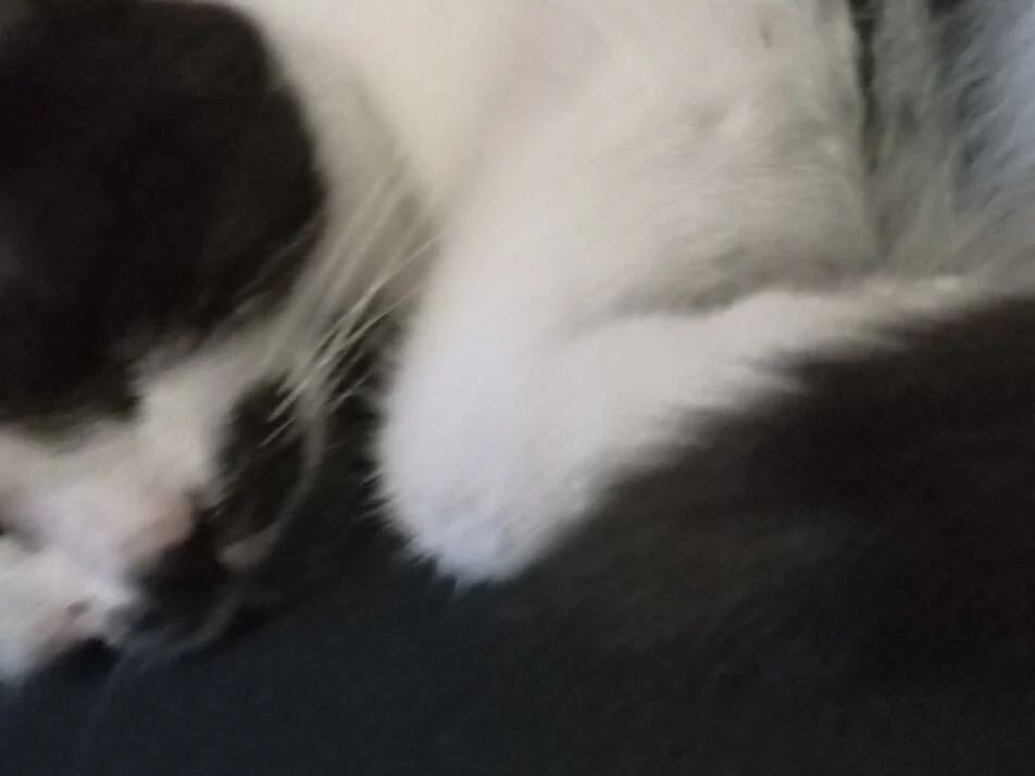 vsem_privet1 – Offline XXX chat