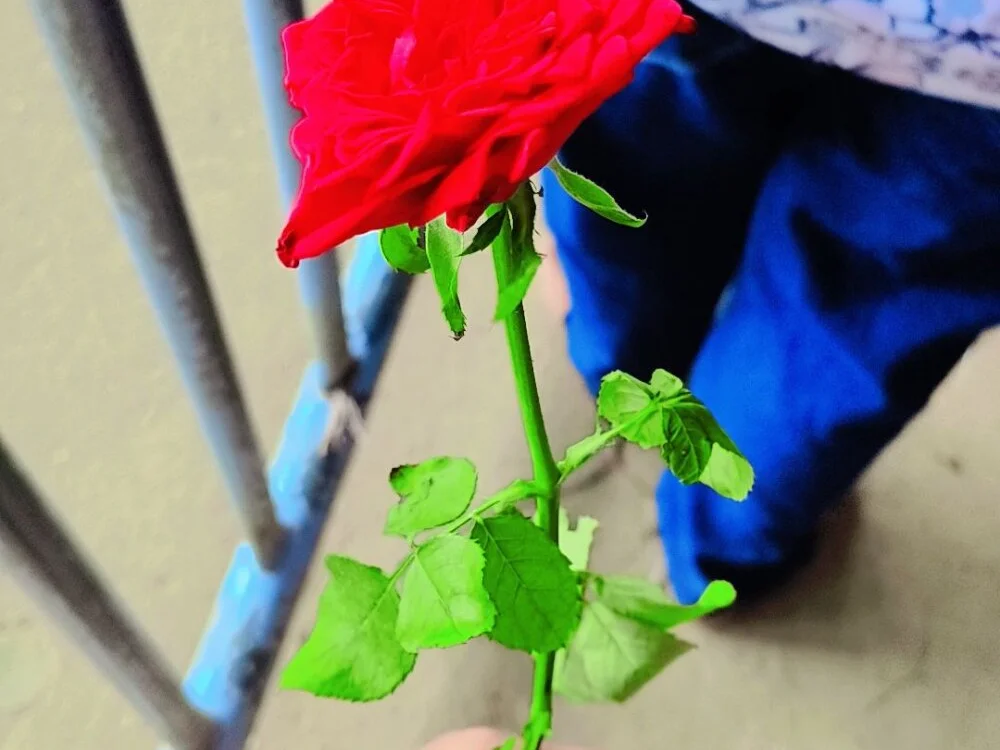 xxbody Obrolan XXX Offline