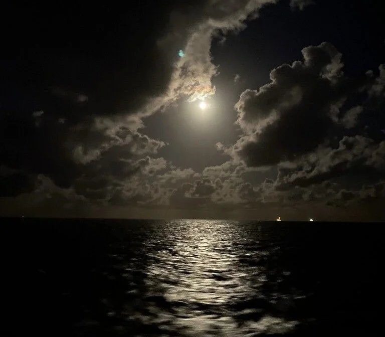 Chatroom XXX hors ligne de im_nectarine