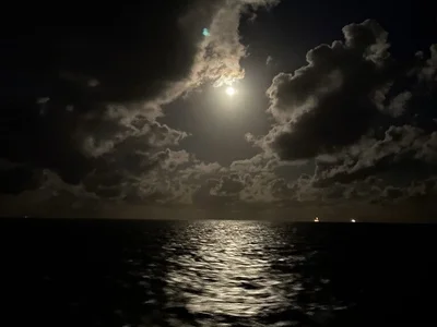 im_nectarine profile