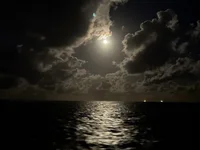 Модель im_nectarine