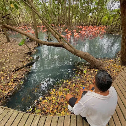 bigpleasure_ offline XXX-chat