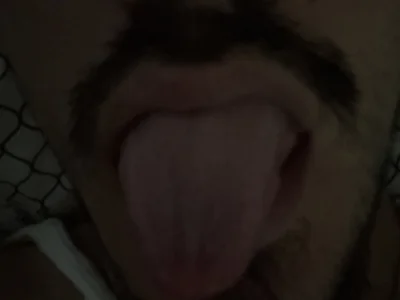 WillyCumms