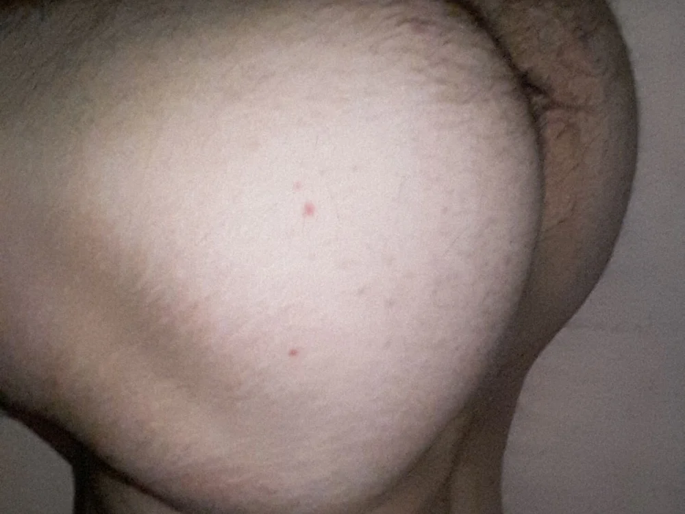 jr2417cm Chat XXX offline