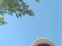 LastBigBlackDick07 webcam model