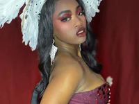 Модель nikkystorm1_