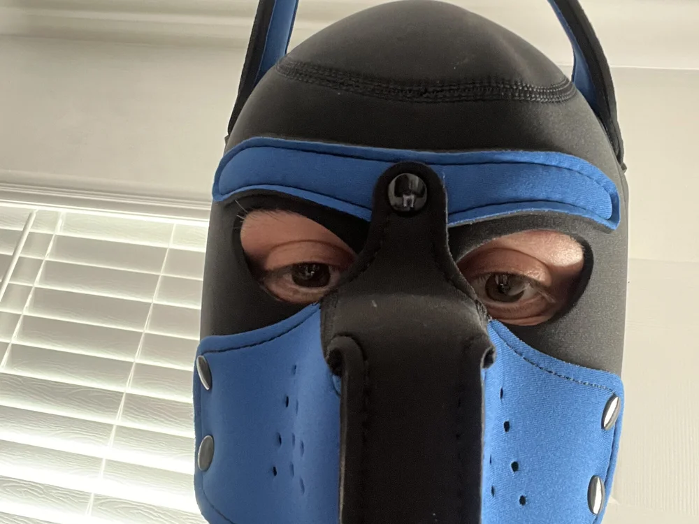 wheelman303's Offline XXX Chat