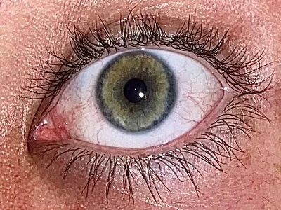 Profile of Eyesgreen_