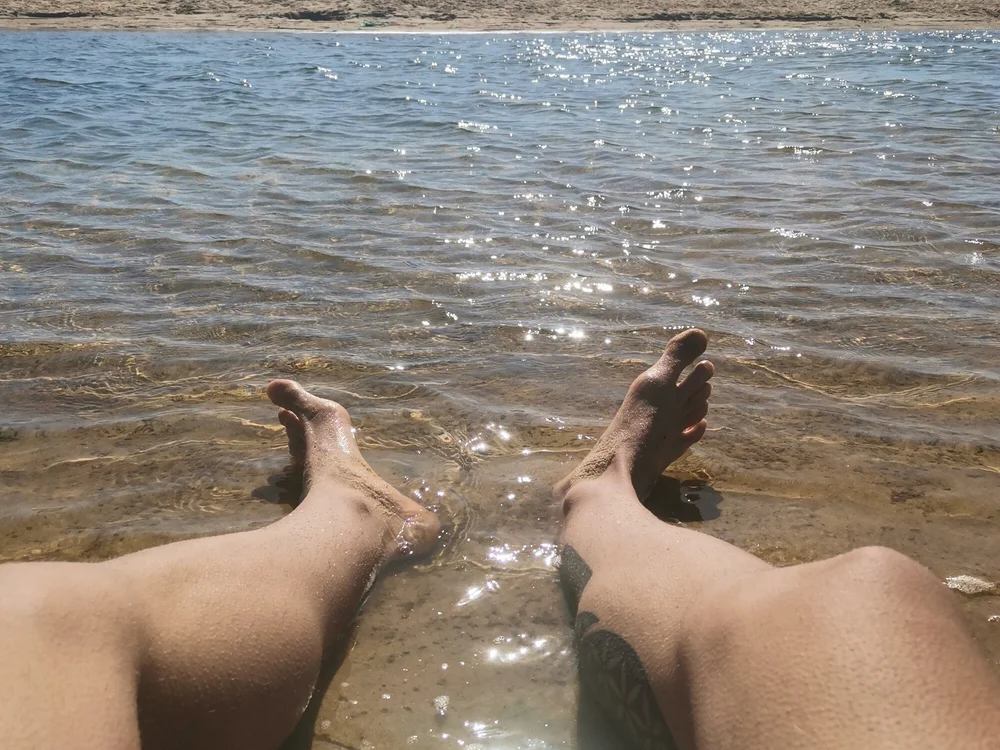 FelipeBrx's Offline XXX Chat