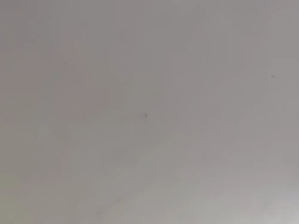 Ffftgfsdg