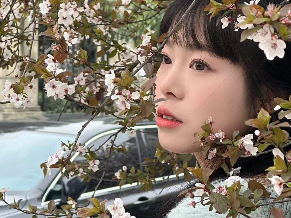 Y-Fanqie 离线XXX聊天