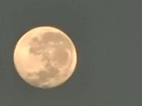 Hiderr's webcam live show