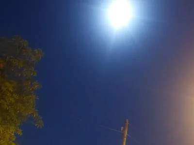 elverdoolaga