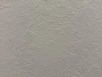 24kDicky webcam