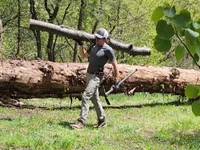 TowerOfAlex's Offline XXX Chat