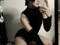 Модель Ravens_Nest