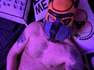 danix_wild_wolf