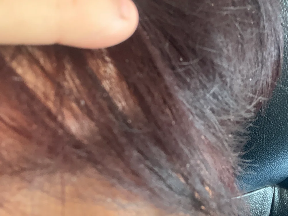 Офлайн-чат XXX bb66666b