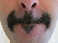 Модель CHATORJ