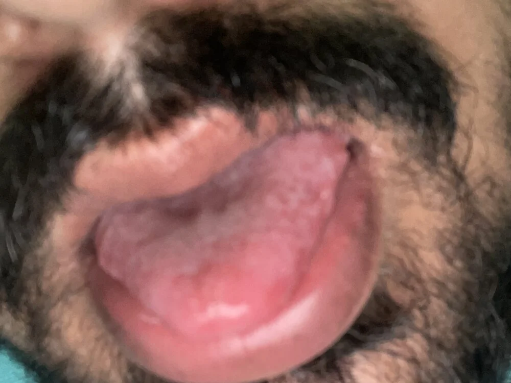 Offline XXX chat Jaipurbull69