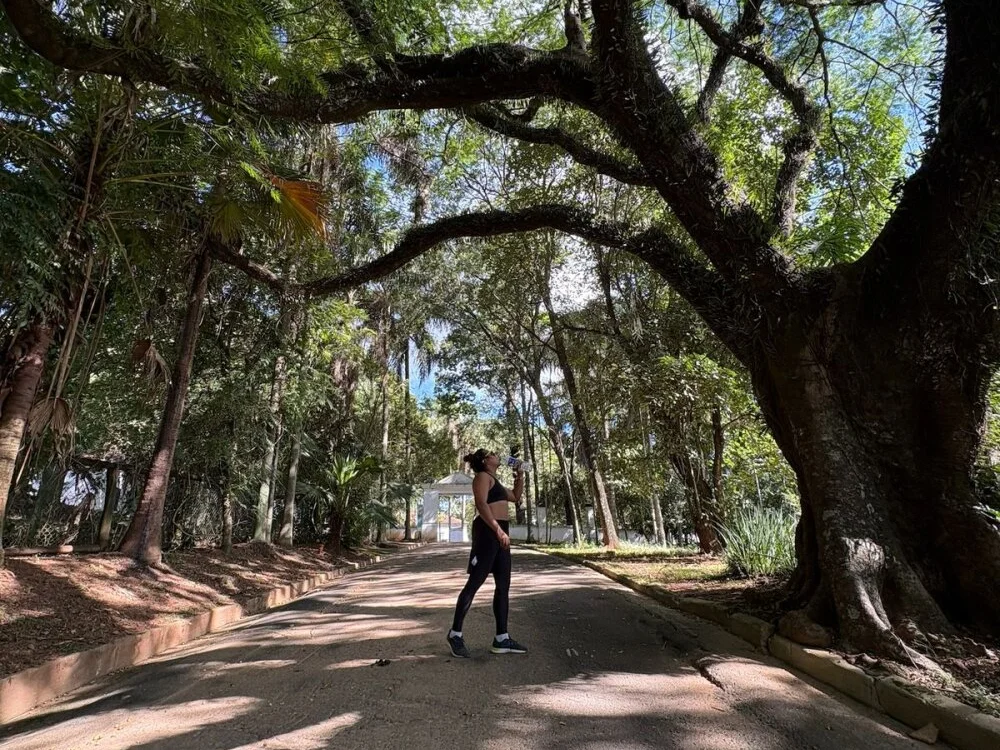 Lavignebr – Offline XXX chat