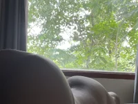 younghotdafdy15 webcam