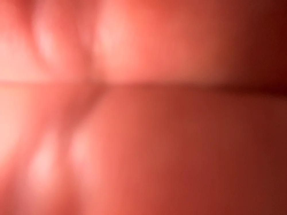 Офлайн-чат XXX stevenleon69