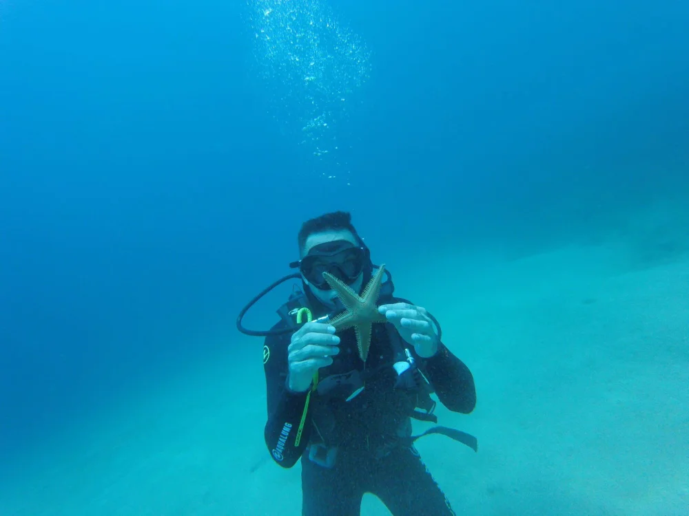 Dom9227 Offline XXX-chat