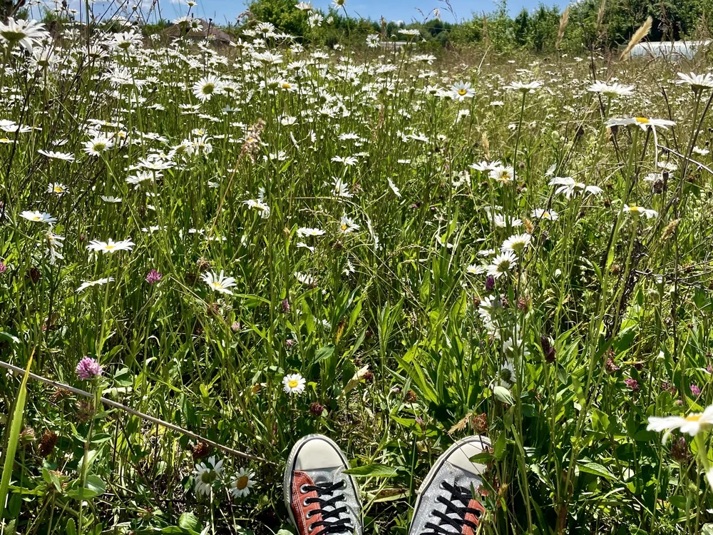 Biting_dog's Offline XXX Chat