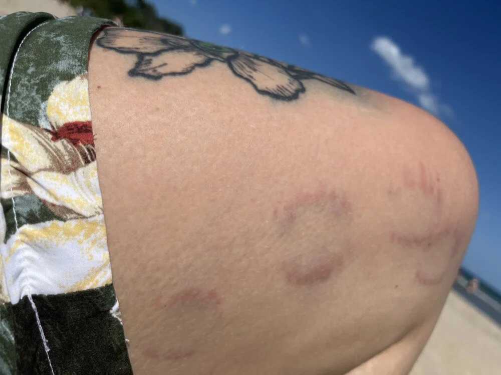 Chat XXX offline de mxzii