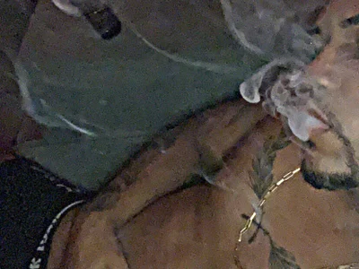 chantal_ohpreto profile