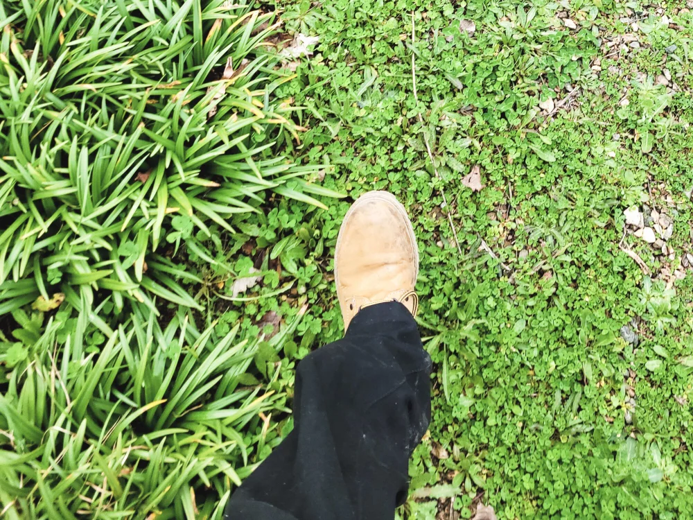 exhib_biten Offline XXX chat