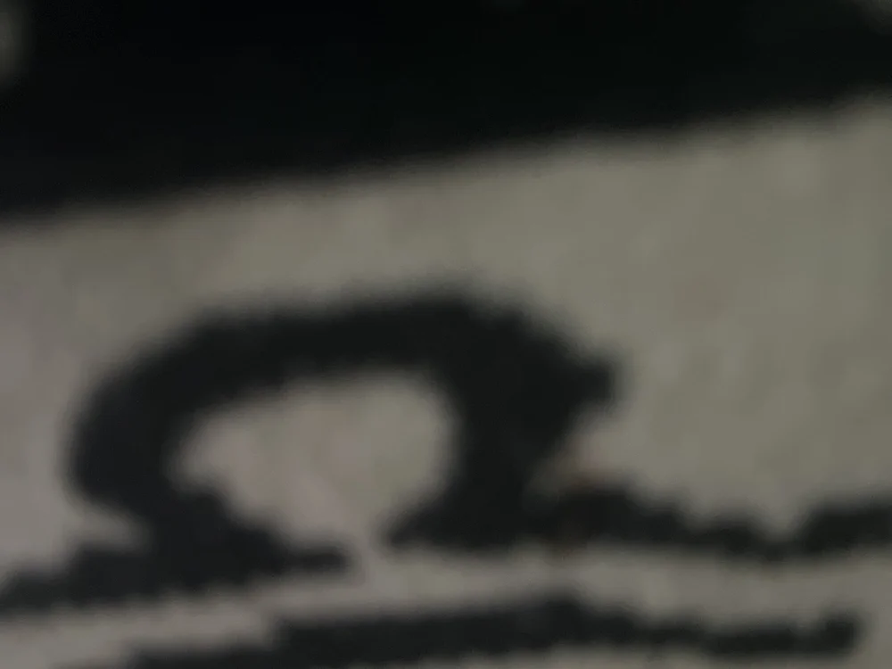 Zap8739's most recent online preview