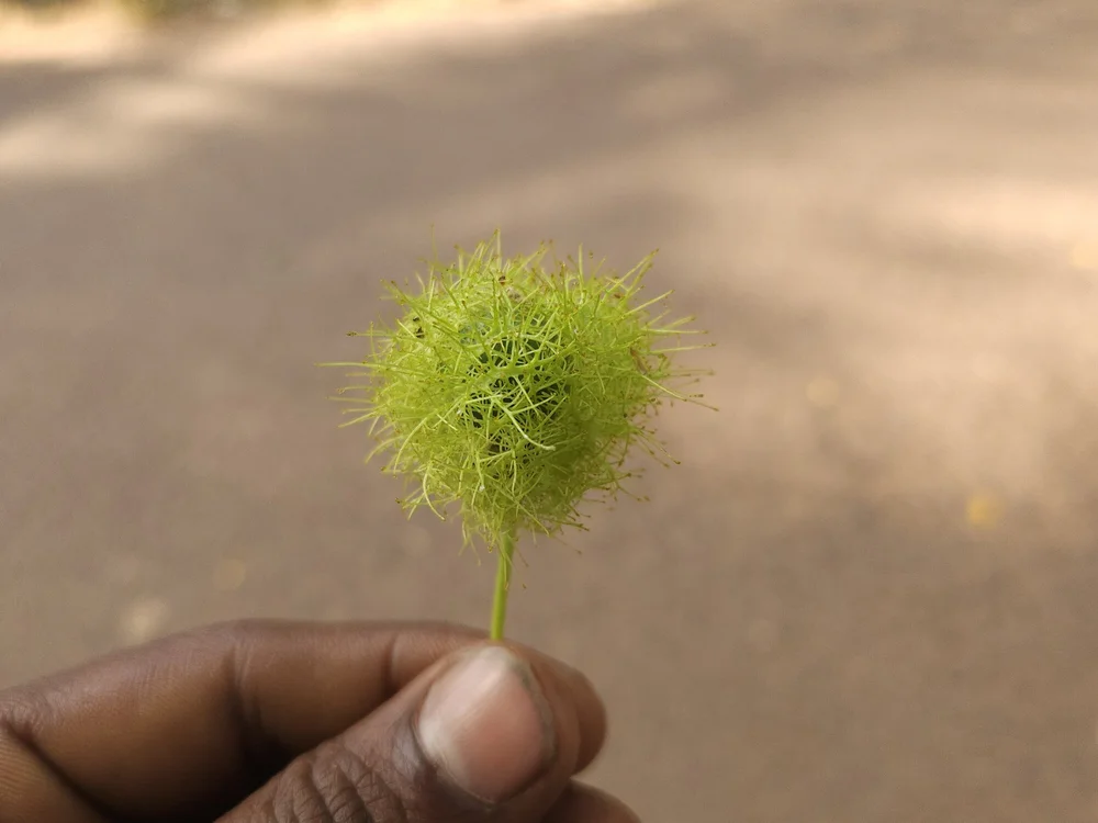 itsmecrazy's Offline XXX Chat