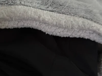 Florianxporn