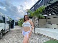 Модель Jenna-Mitchell