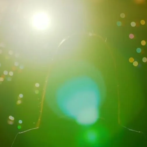 MesmericOunce Obrolan XXX Offline