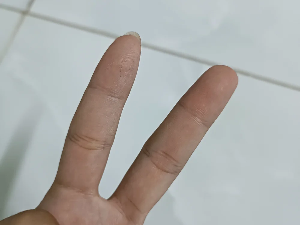 Halao29 離線 XXX 聊天